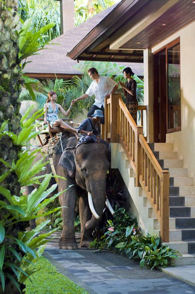巴厘岛大象野生动物园酒店13.jpg