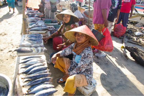 巴厘岛游记：海鲜控的天堂，金巴兰海鲜市场！15.JPEG