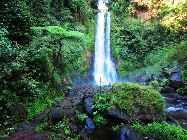 巴厘岛 Gitgit Waterfall 瀑布