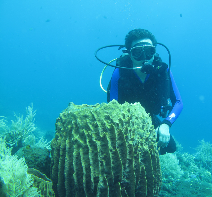 巴厘岛自由行攻略之图兰奔潜水！