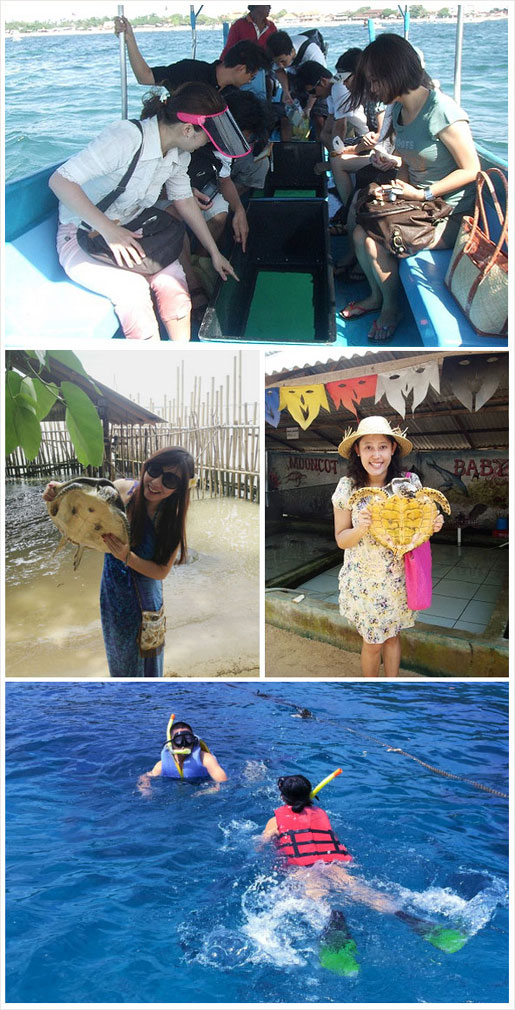 巴厘岛自由行旅游代理 南湾坐玻璃底船去海龟岛看海龟+浮潜套餐预定