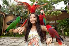 Bali Bird Park 巴厘岛鸟园攻略