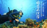 【巴厘岛图兰奔深潜450元】巴厘岛图兰奔潜水项目预订 自由号沉船+珊瑚花园 中文教练 含接送！